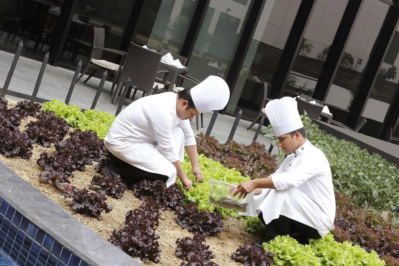 Novotel New Delhi Aerocity 5*,